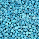 Blue Raspberry Pips