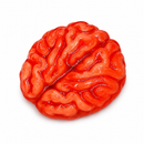 Crazy Candy Factory Zombie Brain 120g