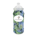 Fizzy Blue Raspberries