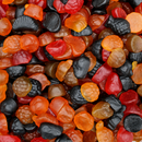 Lion Fruit Salad