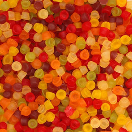 Squirrel Floral Gums