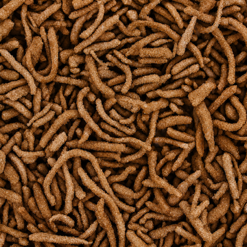 Sweet Tobacco (Spanish Gold)